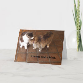 Freundschafts-Karte, Karte