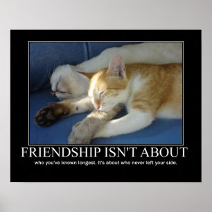 Freundschafts-Katzen-Liebe-Grafik Inspirational Poster
