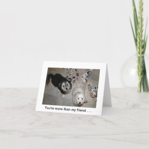 Freundschafts-Welpe-Spaß Karte