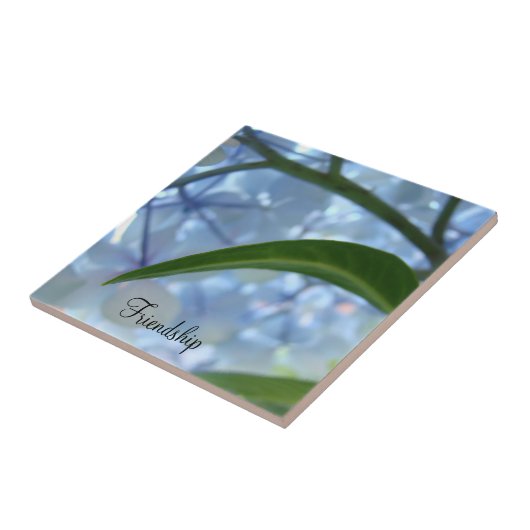 Freundschaftsfliesen Kunst Blaue Florale Hortensie Fliese (Seite)