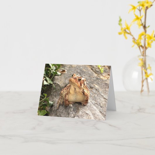 Freundschaftsfrosch-Grußkarte Karte (Gelbe Blume)