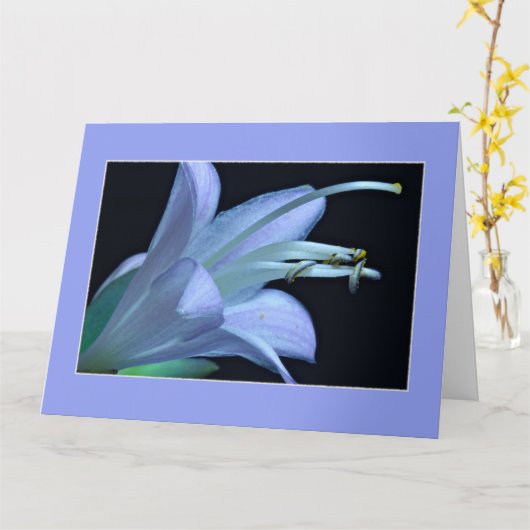 Freundschaftskarte Gerahmte Grußkarte Karte (Gelbe Blume)