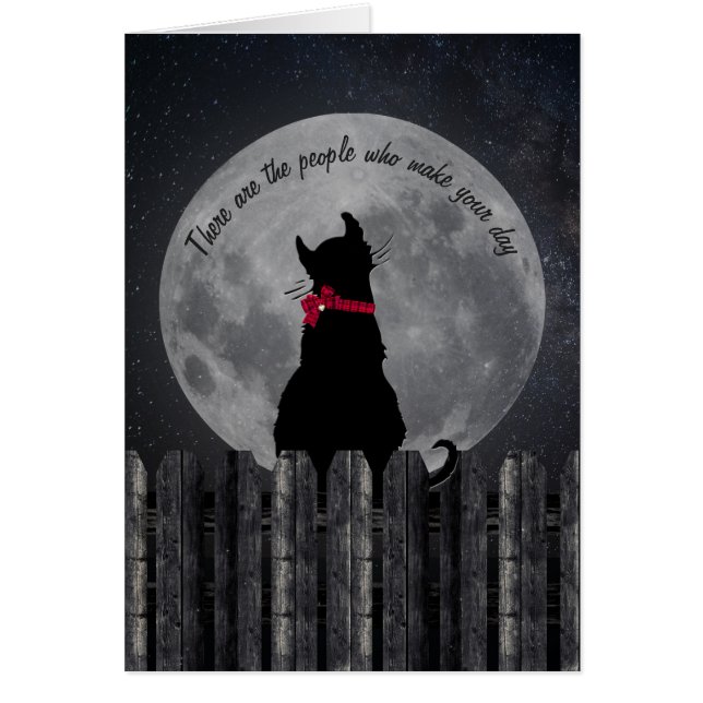 Freundschaftskatze im Mondlicht auf Zaun (Vorne)