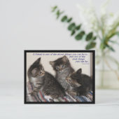 Freundschaftspostkarte Postkarte (Stehend Vorderseite)