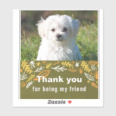 Freundschaftstag Aufkleber (Blatt)