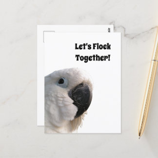 Freundschaftstag Cockatoo Flock - Funny Foto Postkarte