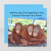 Freundschaftswahl (Vorne/Hinten)