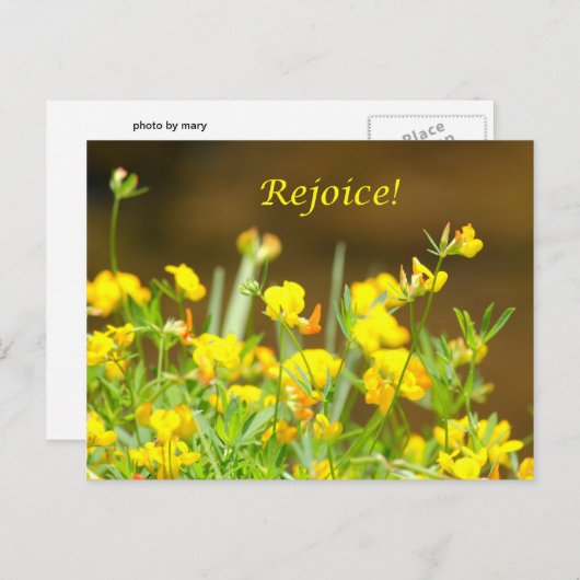 Freut euch! postkarte (Vorne/Hinten)