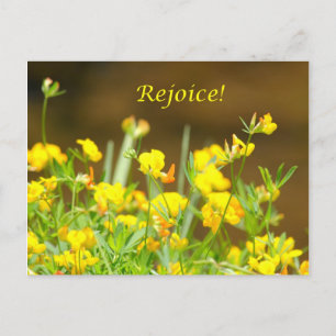 Freut euch! postkarte