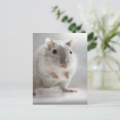 FREUT SIE ZU TREFFEN POSTKARTE (Stehend Vorderseite)