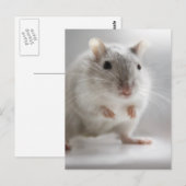 FREUT SIE ZU TREFFEN POSTKARTE (Vorne/Hinten)