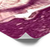 Freya bei ihrem Spinnrad von Portia St. Luke Poster (Ecke)