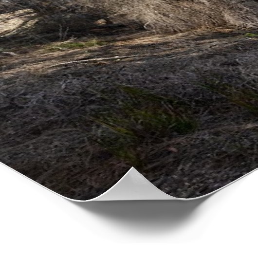 Freycinet National Park Poster (Ecke)