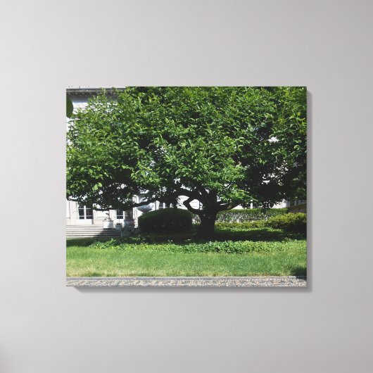 Frick Musuem Leinwanddruck (Vorderseite)