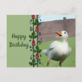 Frida Postkarte (Vorderseite)