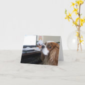 Friday Cavalier King Charles Spaniel at the Office Karte (Gelbe Blume)