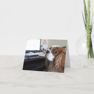 Friday Cavalier King Charles Spaniel at the Office Karte