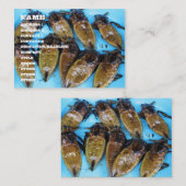 Fried Riant Water Bug (Maeng Daa) ... Asiatische K Visitenkarte (Vorne/Hinten)