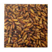 Fried Silk Worms ... Thai Street Food Fliese (Vorderseite)