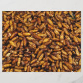 Fried Silk Worms ... Thai Street Food Flyer (Hinten)