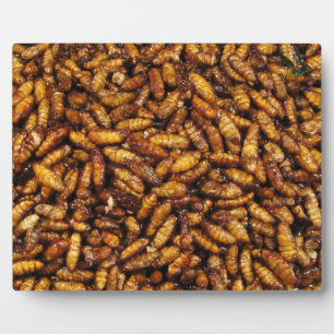 Fried Silk Worms ... Thai Street Food Fotoplatte