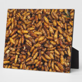 Fried Silk Worms ... Thai Street Food Fotoplatte (Seite)