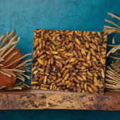 Fried Silk Worms ... Thai Street Food Fotoplatte (Seite)