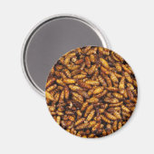 Fried Silk Worms ... Thai Street Food Magnet (Vorderseite/Rückseite)