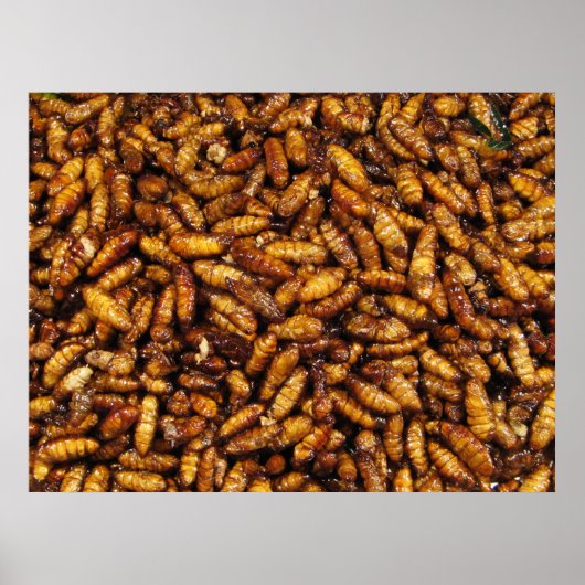 Fried Silk Worms ... Thai Street Food Poster (Vorne)
