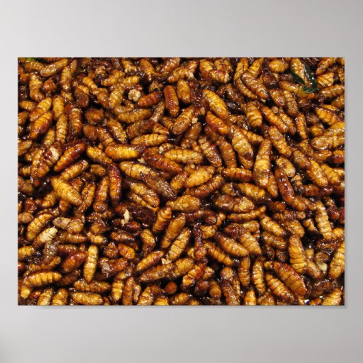 Fried Silk Worms ... Thai Street Food Poster (Vorne)