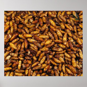 Fried Silk Worms ... Thai Street Food Poster