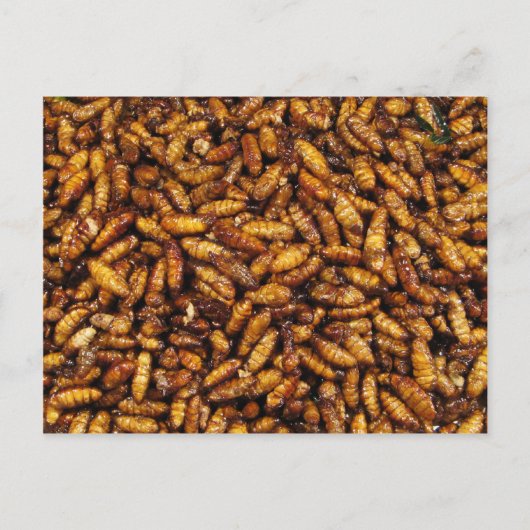 Fried Silk Worms ... Thai Street Food Postkarte (Vorderseite)