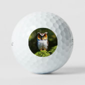 "Frieda the Screech Owl: A Nocturnal Beauty" Golfball (Vorderseite)