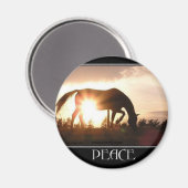 Friede bei Sunset Magnet (Vorderseite/Rückseite)