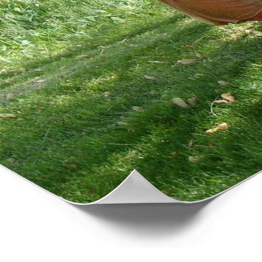 Friede der Göttin Kleines Poster (Ecke)