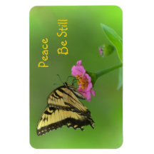 Friede sei immer noch Schmetterling