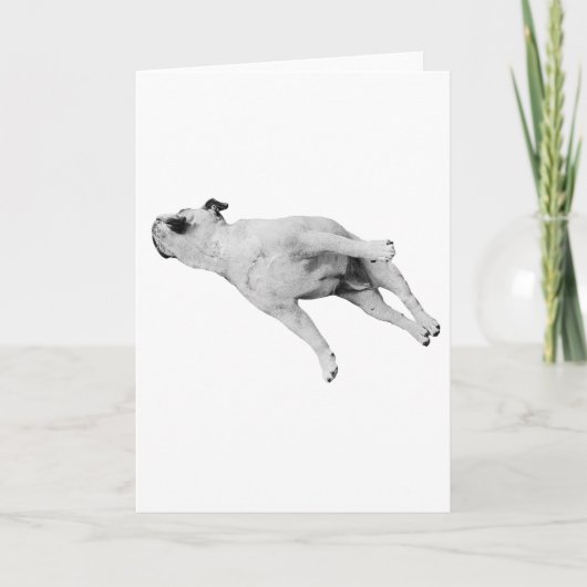 Friede sei mit deinen Pfoten Karte (Vorderseite)