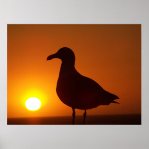 Friede sei mit noch_ poster