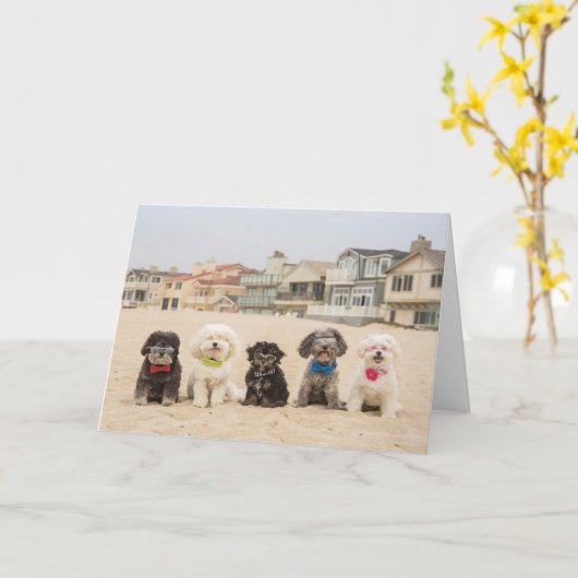 Frieden am Strand Karte (Gelbe Blume)