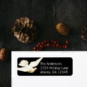 Frieden für alle Elegante Weiße Taube auf schwarz