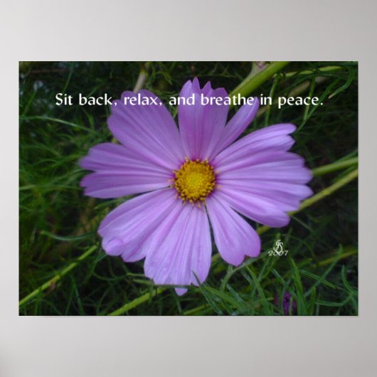 Frieden im Atemzug Poster (Vorne)