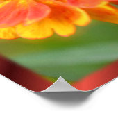 Frieden in der Natur Zinnia Blume Inspiration Poster (Ecke)