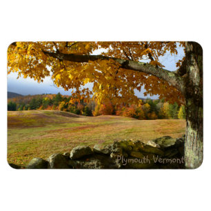 Frieden in Vermont Magnet