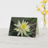 Frieden Karte (Gelbe Blume)
