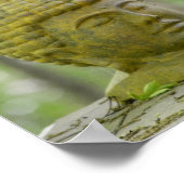 Frieden kommt aus Buddha Poster (Ecke)