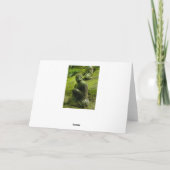 Frieden kommt aus. Buddha-Zitat-Karte Karte (Rückseite)