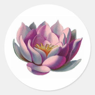 Frieden l Schöne rosa Lotusblume/Seerose Runder Aufkleber