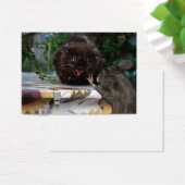Frieden! Lass uns als Freunde (Schreibtisch)