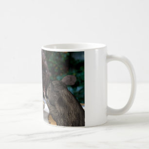 Frieden! Lass uns als Freunde Kaffeetasse