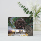 Frieden! Lass uns als Freunde Postkarte (Stehend Vorderseite)